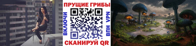 Купить закладки  Борисоглебск  Псилоцибиновые грибы Magic Shrooms 